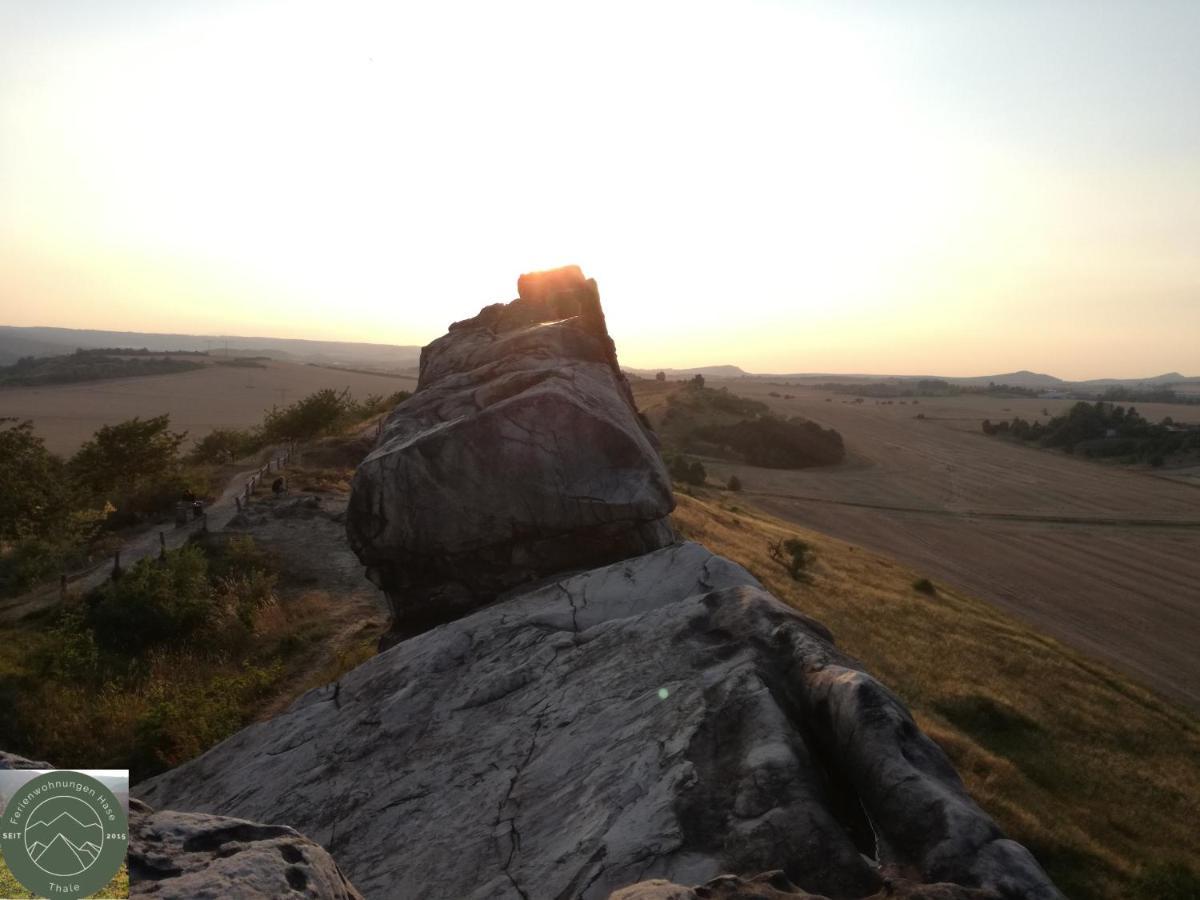Ferienwohnung Kahlenberg Thale Bagian luar foto